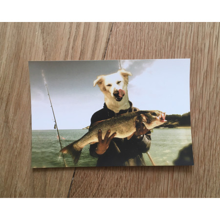 Kombishop lifestyle carte postale de voyage pêche au bar Belle-île camping